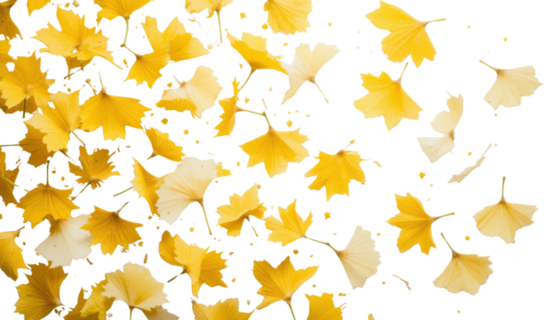 A seamless pattern of vibrant yellow and orange maple leaves creates a beautiful autumn fall background