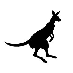 kangaroo vector illustration