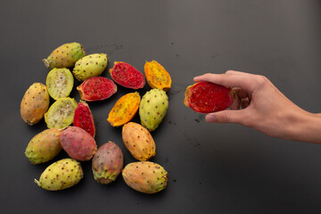 A single red prickly pear half held in a hand above a collection of cactus fruits.