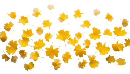 A seamless pattern of vibrant yellow and orange maple leaves creates a beautiful autumn fall background