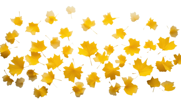 A seamless pattern of vibrant yellow and orange maple leaves creates a beautiful autumn fall background