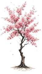 Fototapeta premium Pink cherry blossom branches with leaves and flowers reflect in the water during spring