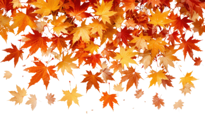 Seamless autumn pattern of red maple leaves with festive star decorations