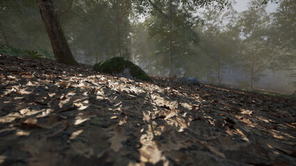 Dried leaves blanket the forest ground, illuminated by gentle sunlight. Trees rise in the background, creating a tranquil, nature filled atmosphere.