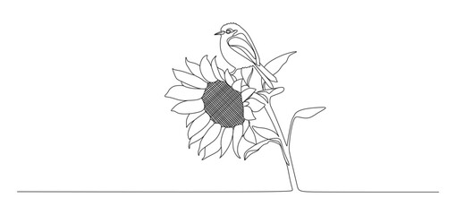Minimalist continuous line drawing of a small bird perched on a blooming sunflower