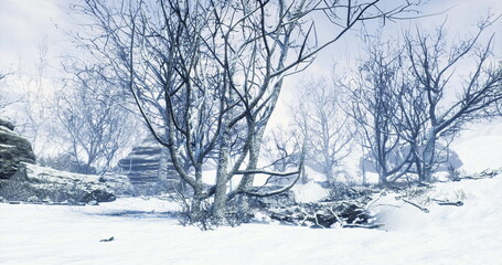 Snow blankets the ground in a tranquil winter landscape. Barren trees with thin branches rise against a bright, cloudy sky, creating a serene atmosphere in natures embrace.