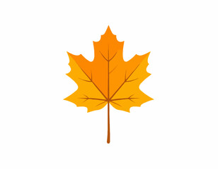 Maple leaf autumn foliage vibrant colors isolated on white simple style seasonal nature high quality professional