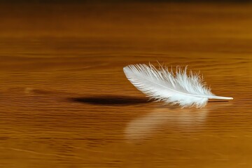 Delicate white feather floating on golden reflective surface casting soft shadow, minimalist composition with warm amber tones creates serene atmosphere.