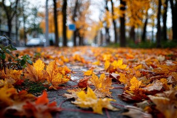 Colorful autumn leaves on the ground in a city park