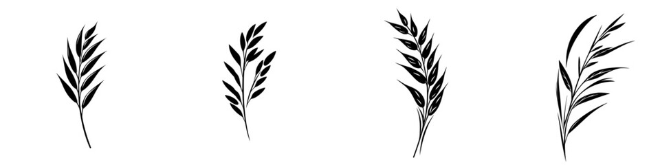 Minimalist black-and-white vector illustration of plant silhouettes showcasing diverse leaf shapes and arrangements in a simple design