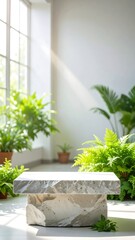 Modern minimalist display space with plants