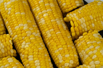 Close-up of cooked corn cobs