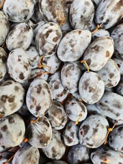 A pile of fresh plums at a market