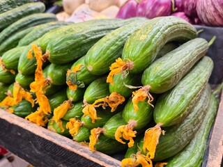 Fresh organic cucumbers with blossoms