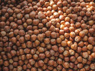 A close up overhead view of a large pile of dried chickpeas illuminated by warm sunlight creating a textured and earthy food background