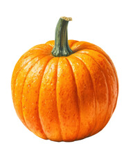 Obraz premium Watercolor halloween fresh orange pumpkin isolated on transparent background