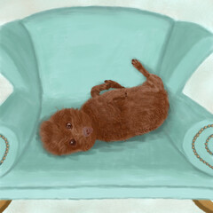 hand drawn lovely brown teddy dog lying on the sofa