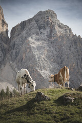 Mountain Hike in Dolomites Italy mountain perfect for climb 