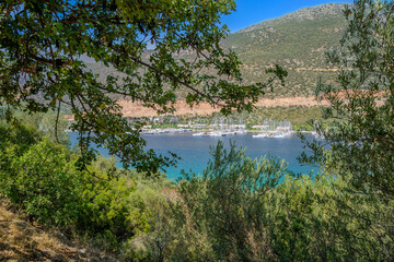 Fototapete bei efototapeten.de bestellen   