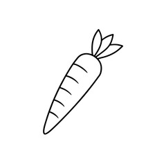 Simple carrot outline drawing illustration on transparent background