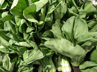 A fresh pile of bok choy, showcasing its vibrant green leaves and crisp white stalks. The vegetables are neatly arranged, creating a lush, organic texture that appears fresh and ready for market.