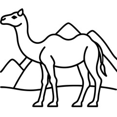 Desert Camel Line Art Vector
