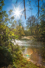 Fototapeta premium A peaceful stream with sunlight glinting off its surface in an autumnal forest