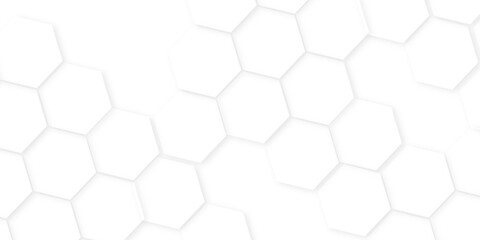 Fototapeta premium hexagon concept design abstract technology background,beautiful geometric pattern white gray hexagonal,geometric mesh cell texture. modern futuristic wallpaper.