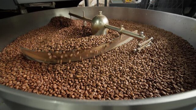 Fresh roasted coffee beans cooling in large industrial mixer machine roaster blend at modern factory aromatic brown grains blending mixing cocoa roasting closeup view of equipment production process