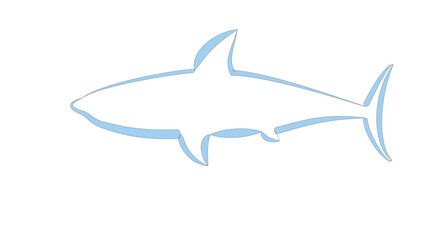 Fototapeta premium Outline of a shark swimming in calm waters, showcasing its sleek body and distinctive fins for marine enthusiasts