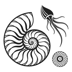 Stylized black and white illustration of a nautilus shell cross section and a jellyfish creature © Bs
