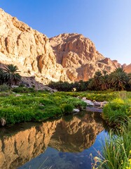 Oasis with mountain reflection