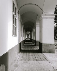 Monochrome perspective of a historic colonnade.
