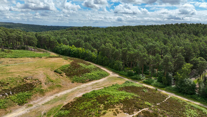 Aerial view of country and woodland path