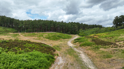 Aerial view of country and woodland path