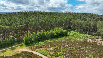 Aerial view of country and woodland path