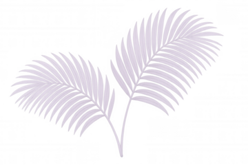 Two elegant light purple palm leaves overlapping on a transparent background, evoking a sense of tropical tranquility and relaxation