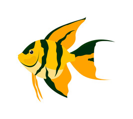 Angel fish vector illustration