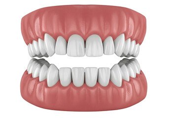 Obraz premium Realistic 3d rendering of a full set of human teeth and gums isolated on transparent background