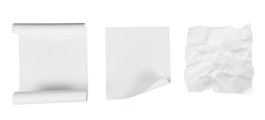 white blank paper sheet with curled edges isolated on white or transparent png