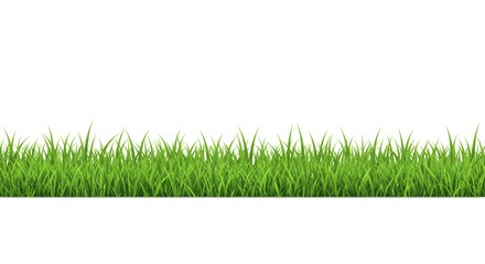 Naklejka premium Lush Green Grass Border Isolated on White Background for Designs
