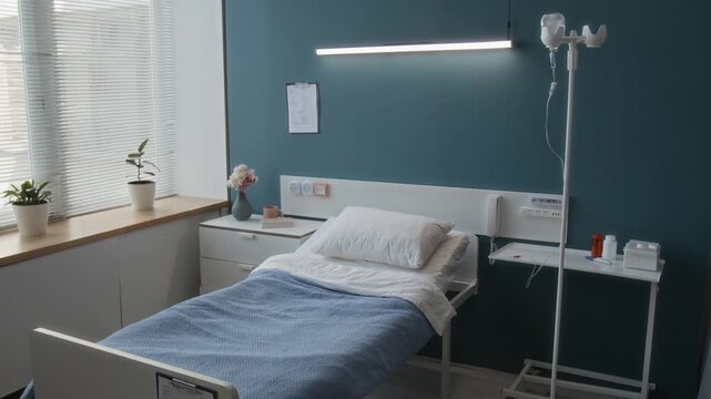 No people view of hospital ward showing single bed with white pillow and blue blanket next to window with two potted plants on sill, bedside table and IV stand
