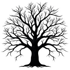 Obraz premium a-stark--detailed-silhouette-of-a-deciduous-tree--.eps