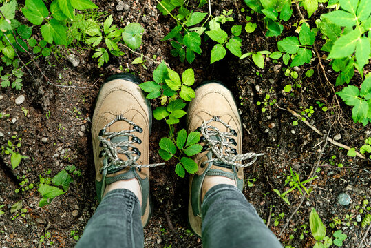 Close up of hiker feet and hiking boots in forest. Woman walking and wearing trekking shoes