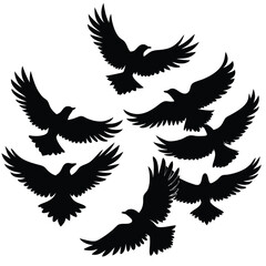 Obraz premium Black bird silhouettes flying in a circular formation against a white background, depicting freedom and unity.