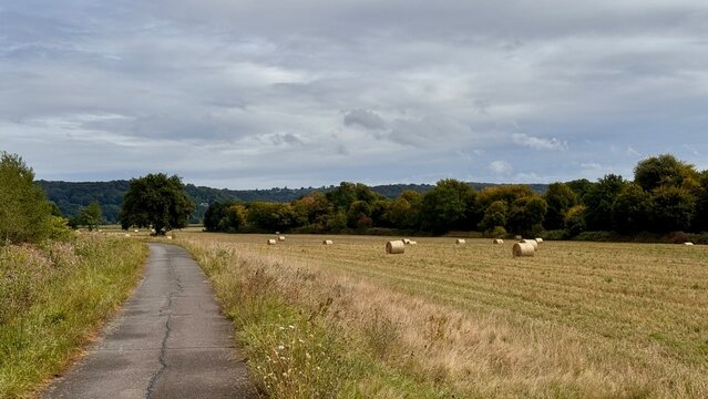 German landscape of an empty walking and cycling path on the dike between the farming lands with rolled hay bales outdoor at daytime during summer in Hennef next to the Sieg river in Germany.