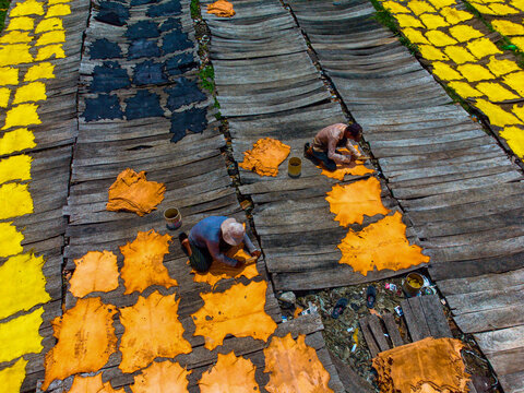 Dhaka, Bangladesh - 20 August 2023: Aerial view of men meticulously working on colorful leather hides spread across weathered wooden planks, creating a vibrant patchwork of textures and tones.