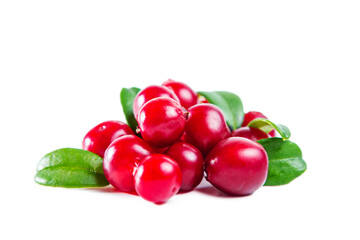 Ripe shiny lingonberries with leaves isolated on white background.