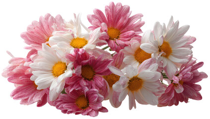 Close-up of a bouquet of pink and white daisies.  Soft petals in various shades of pink and white cluster around a bright yellow center