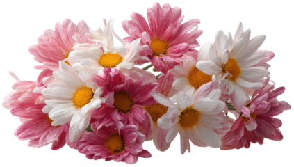 Close-up of a bouquet of pink and white daisies.  Soft petals in various shades of pink and white cluster around a bright yellow center